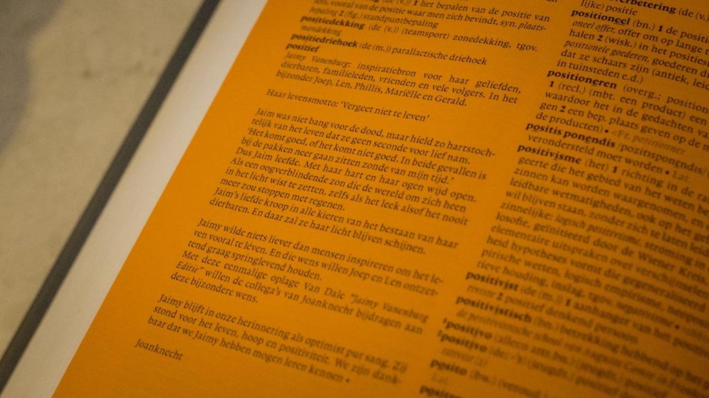 Een speciale uitgave van de Van Dale met daarin Jaimy's betekenis van het woord 'positief'. 